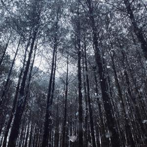 hjd核基地论坛首页
